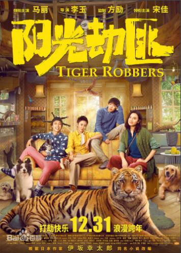阳光劫匪简介