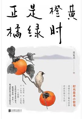 正是橙黄橘绿时简介