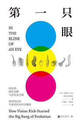 第一只眼经典语录