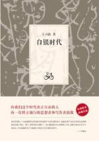 白银时代简介